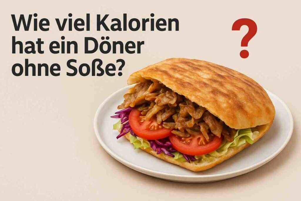 wie viel kcal hat ein döner