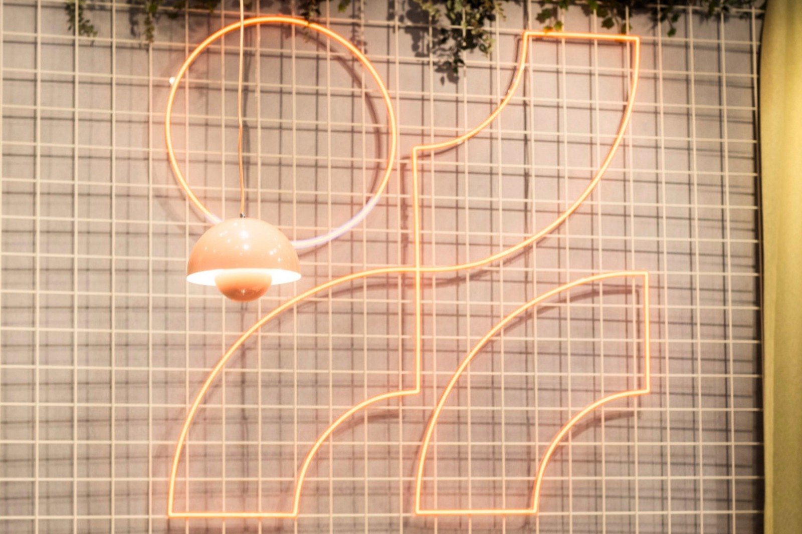 neon bilder